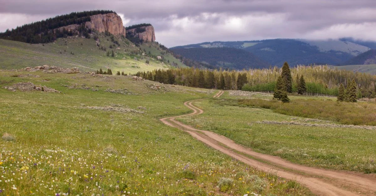 Yellowstone&rsquo;s Grandeur: Day Trips from Gallatin County