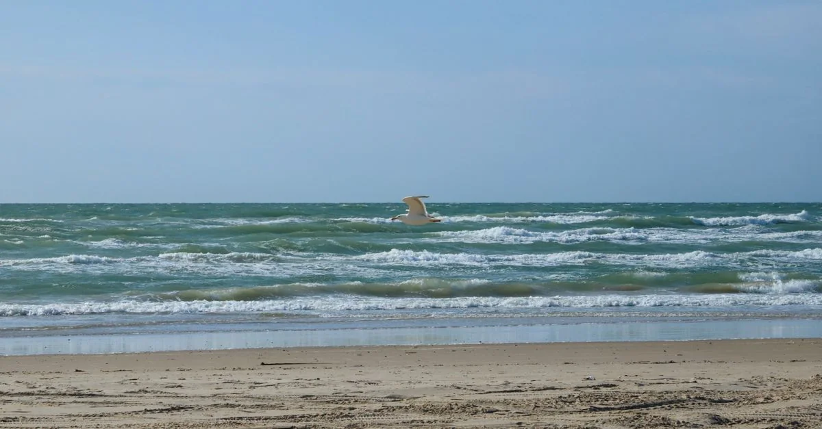 Galveston County Adventure Guide: Extreme Sports with Prices and Tips