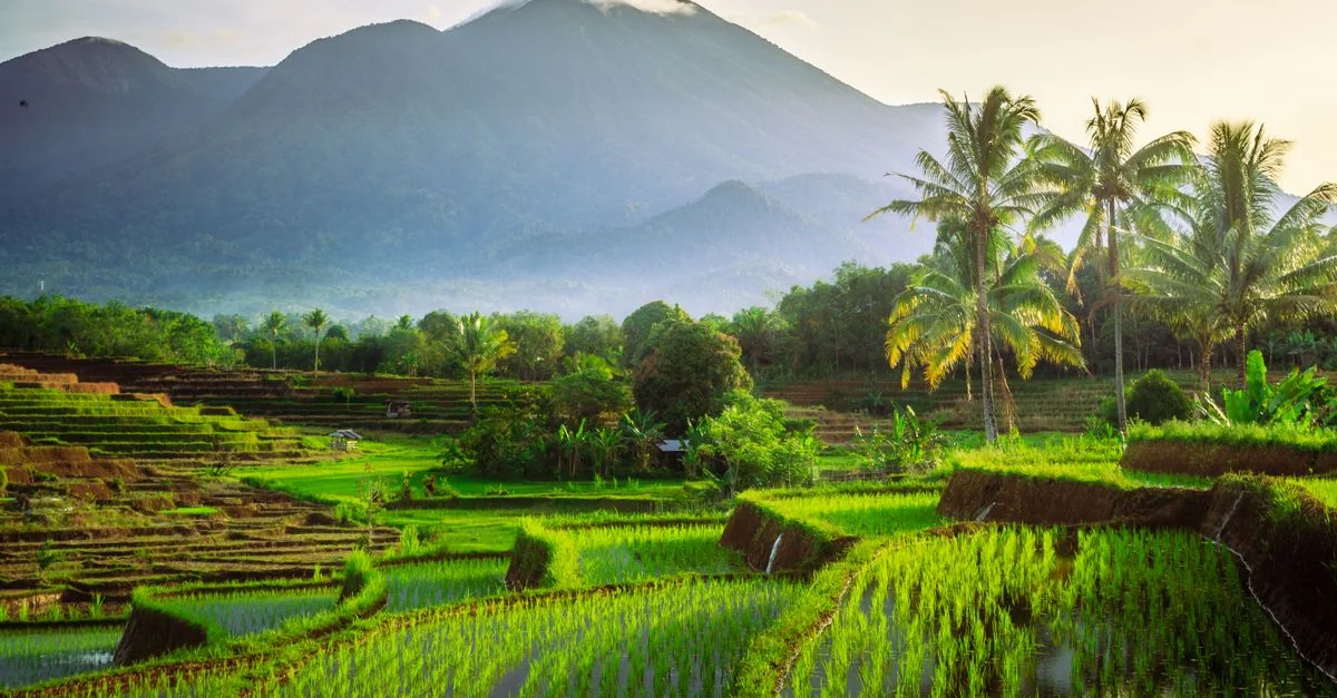 Gianyar Regency Adventure Guide: Extreme Sports with Prices and Tips