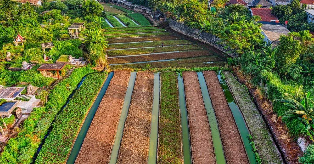 A Food Lover&rsquo;s Guide to Gianyar Regency