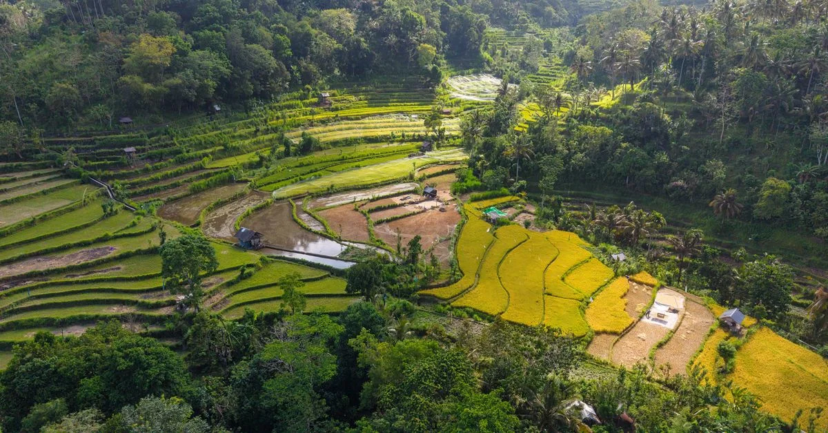 Best Photo Tours in Gianyar Regency
