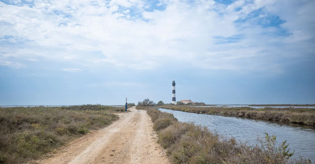 Gironde Adventure Guide: Mountain Biking Through Vineyards with Prices and Tips