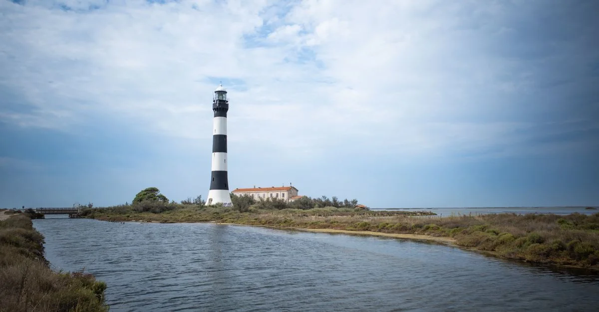 Gironde Adventure Guide: Mountain Biking Through Vineyards with Prices and Tips