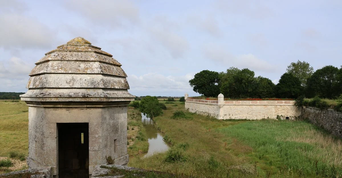 Gironde Adventure Guide: Mountain Biking Through Vineyards with Prices and Tips