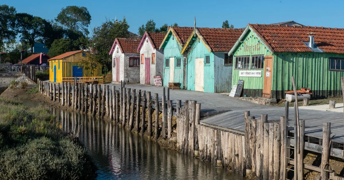 Gironde Adventure Guide: Mountain Biking Through Vineyards with Prices and Tips