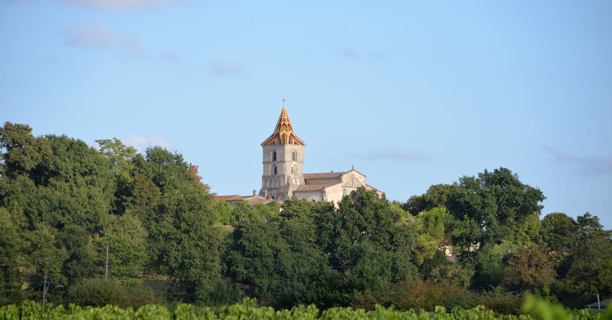 gironde-culture-tours