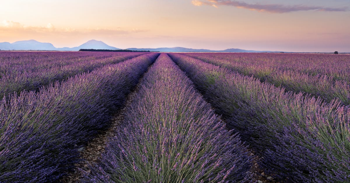 gironde-luxury-tours