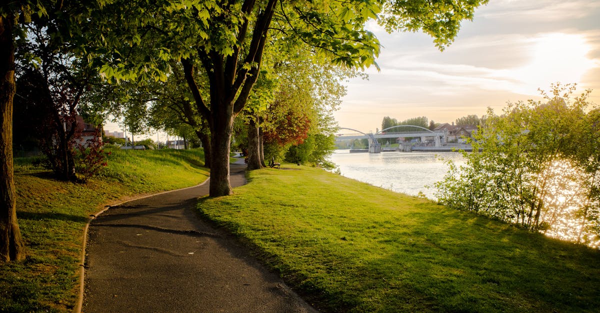 gironde-walking-tours