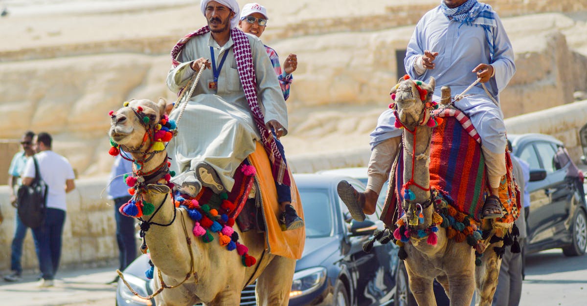giza-city-tours