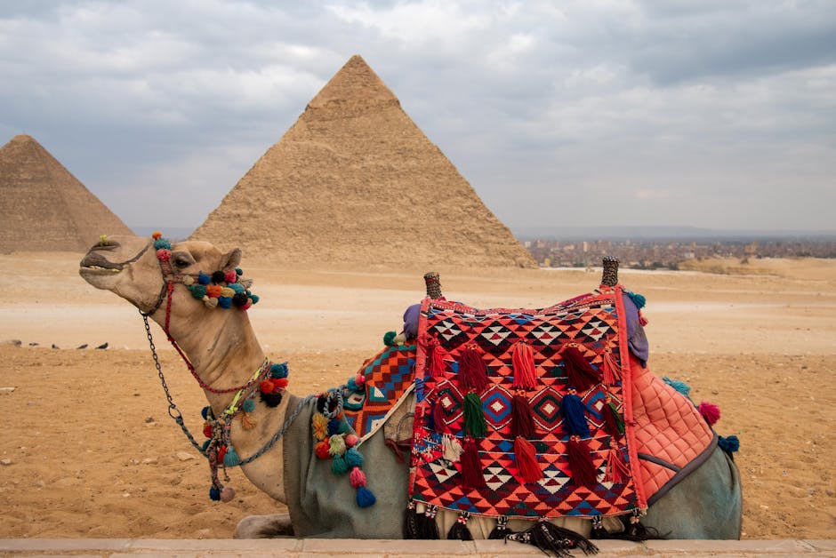 giza-culture-tours