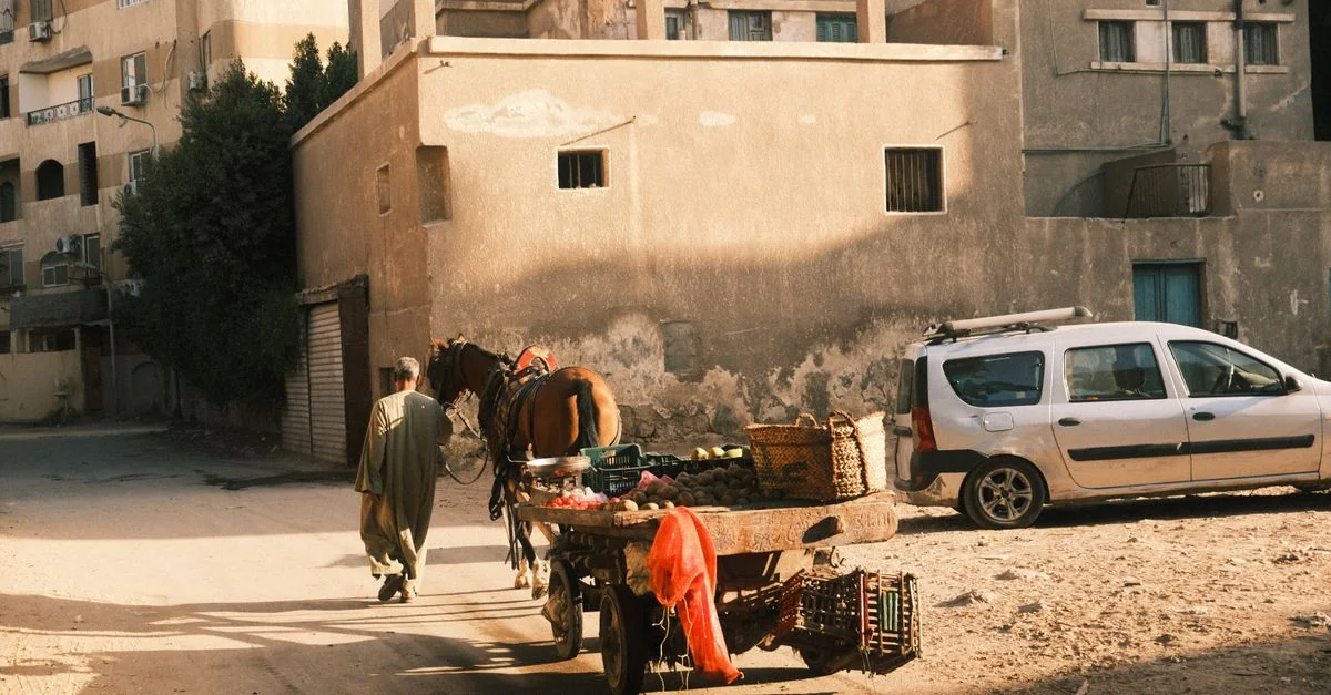 Best Photo Tours in Giza