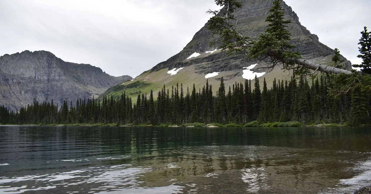 Glacier Adventure Guide: Mountain Biking with Prices and Tips