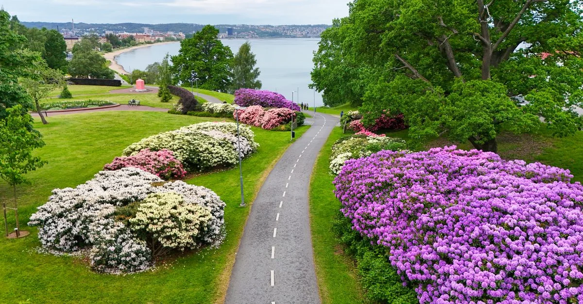 Nature and Wildlife Tours in Gothenburg: Discover Sweden