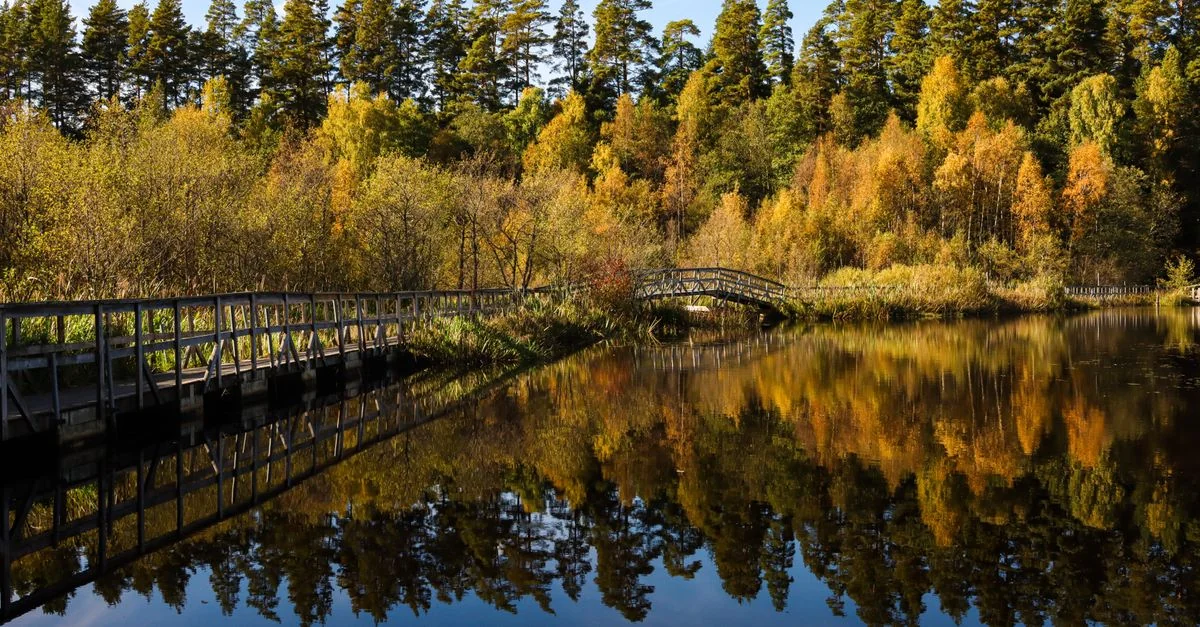 Nature and Wildlife Tours in Gothenburg: Discover Sweden