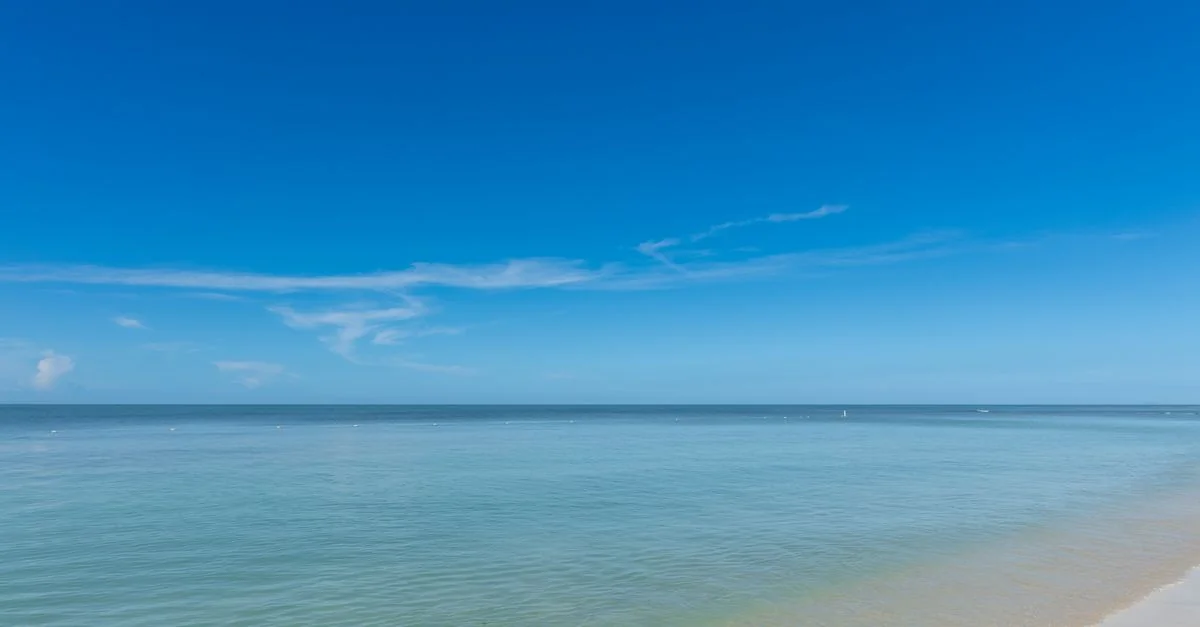 Grand Cayman Water Sports Guide: Snorkeling and Private Charters