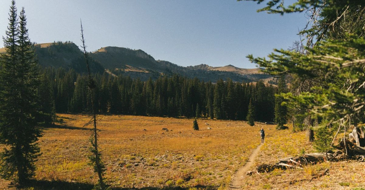 Navigating Grand County: The Best Day Trips by Budget