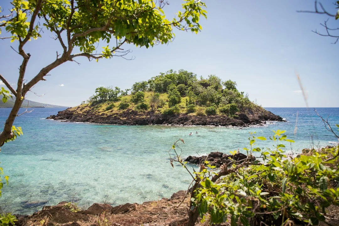 Green Island Airport Transfers: A Guide to Smooth Arrivals