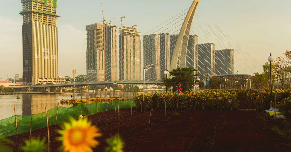 Best Day Trips in Hồ Chí Minh