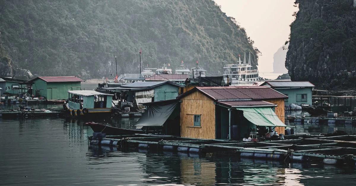 Hạ Long Bay Adventure Guide: Mountain Biking and Kayaking with Prices and Tips