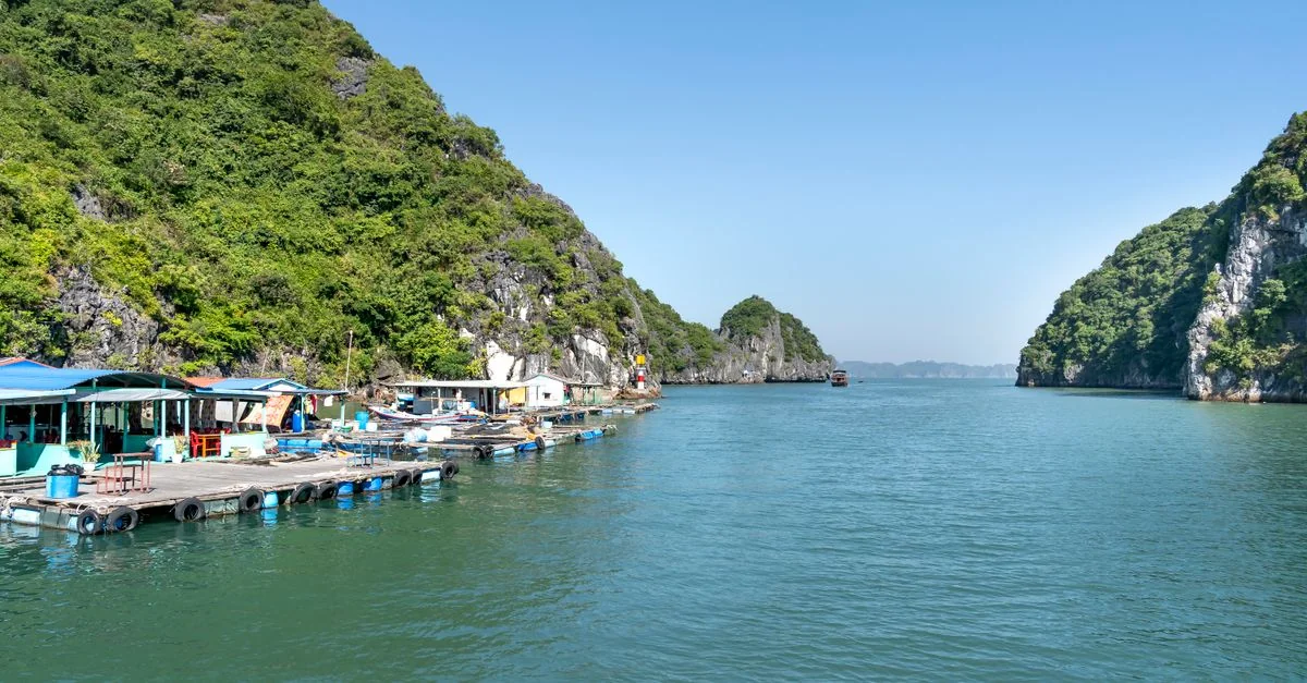 Hạ Long Bay Adventure Guide: Mountain Biking and Kayaking with Prices and Tips