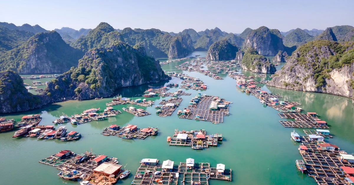 Hai Phong Multi-Day Tours: Your Complete Guide to Island and Bay Overnights