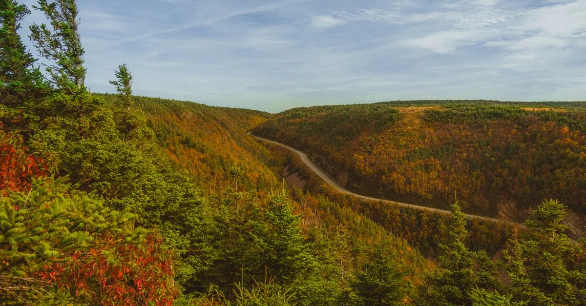 Halifax Sightseeing: A Guide to Local Tours and Coastal Routes