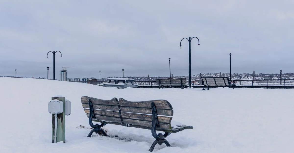 Halifax Regional Municipality: A Canvas of Art and History