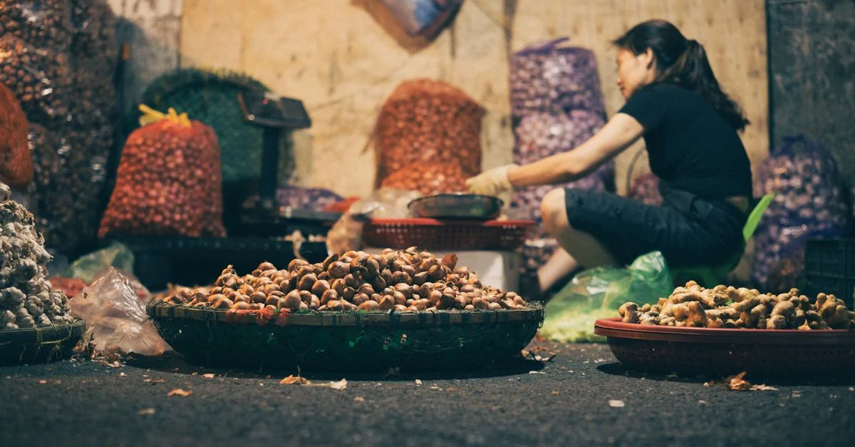 Hanoi City Tours and Sightseeing: Explore the Heart of Vietnam
