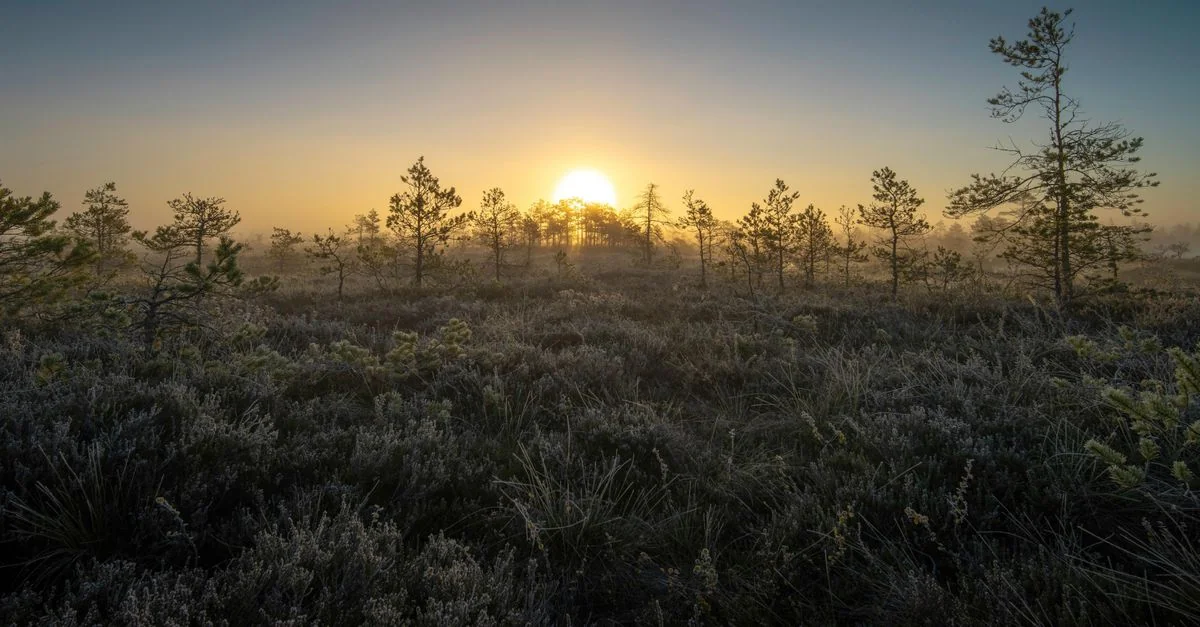 Harju maakond City Tours and Sightseeing Guide