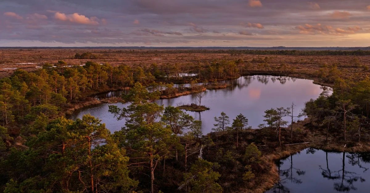 A Pedestrian’s Guide to Harju Maakond: Walking Through History