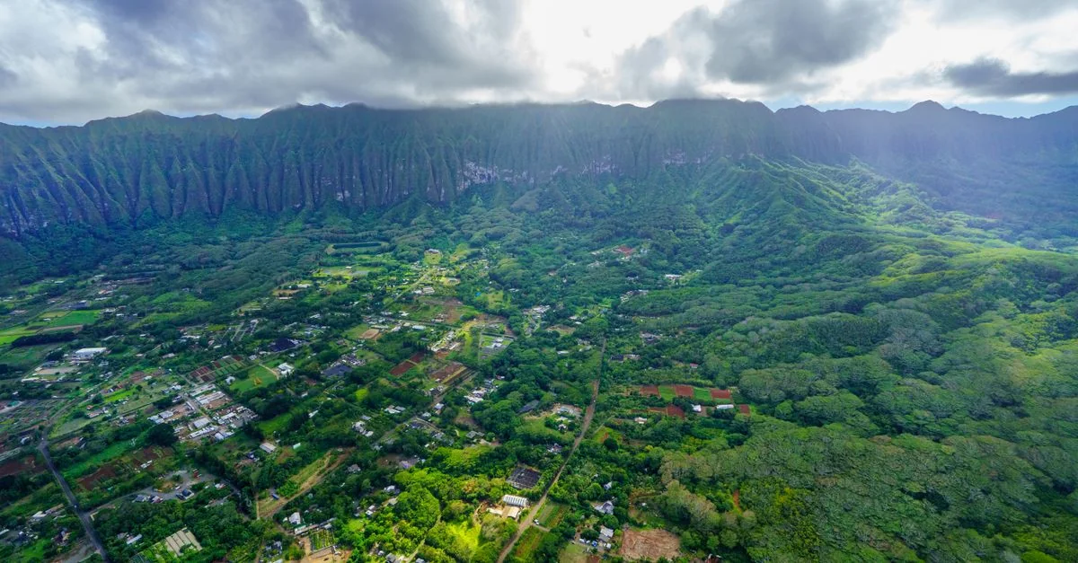 Exploring Art and Culture in Hawaii County: A Journey Through Time and Creativity