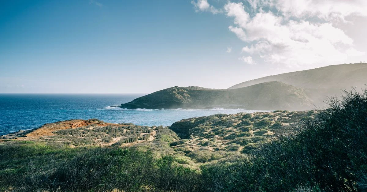 Hawaii County Day Trips: Volcanic Slopes, Kona Roasts & Coastal Roads