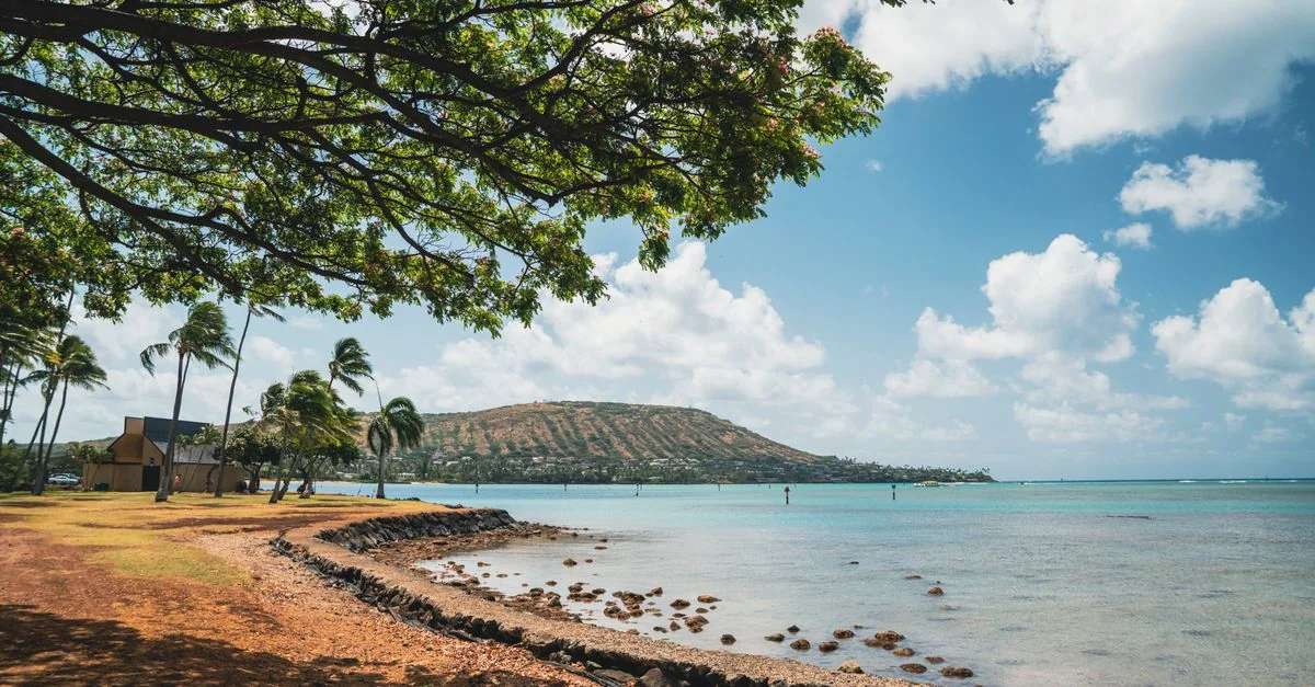 Hawaii County Day Trips: Volcanic Slopes, Kona Roasts & Coastal Roads