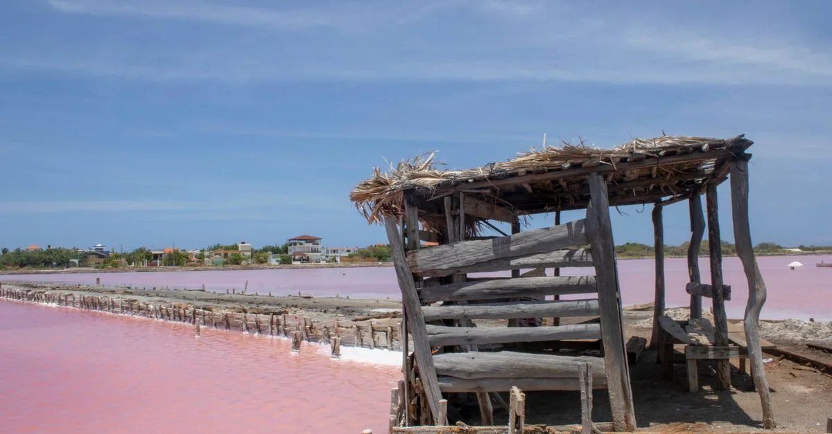 Best Cruise Tours in Higüey