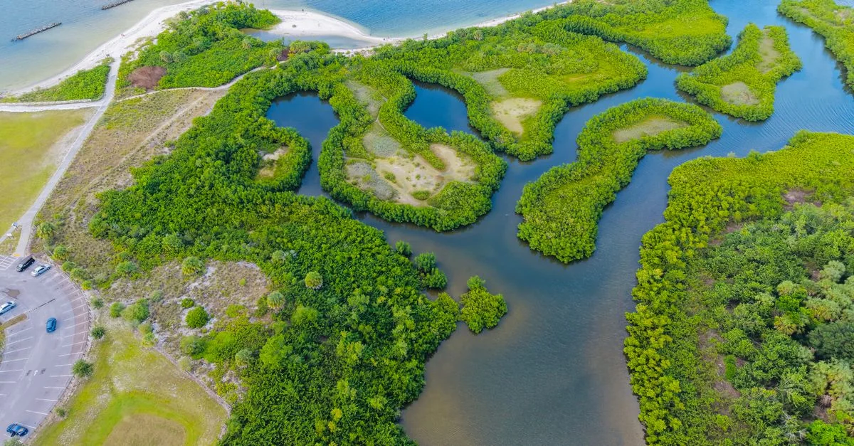 Hillsborough County Adventure Guide: Mountain Biking with Prices and Tips