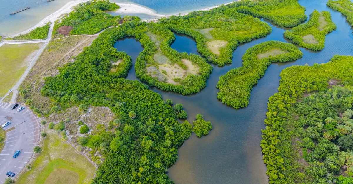 Hillsborough County Adventure Guide: Mountain Biking with Prices and Tips