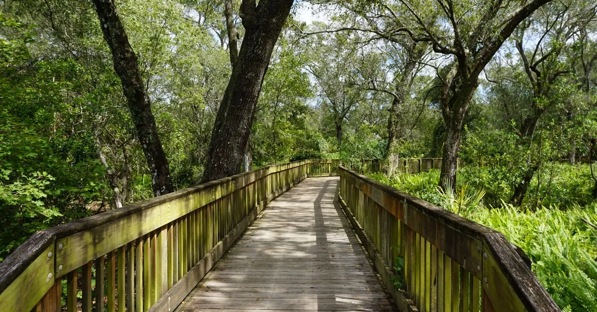 Hillsborough County Adventure Guide: Mountain Biking with Prices and Tips