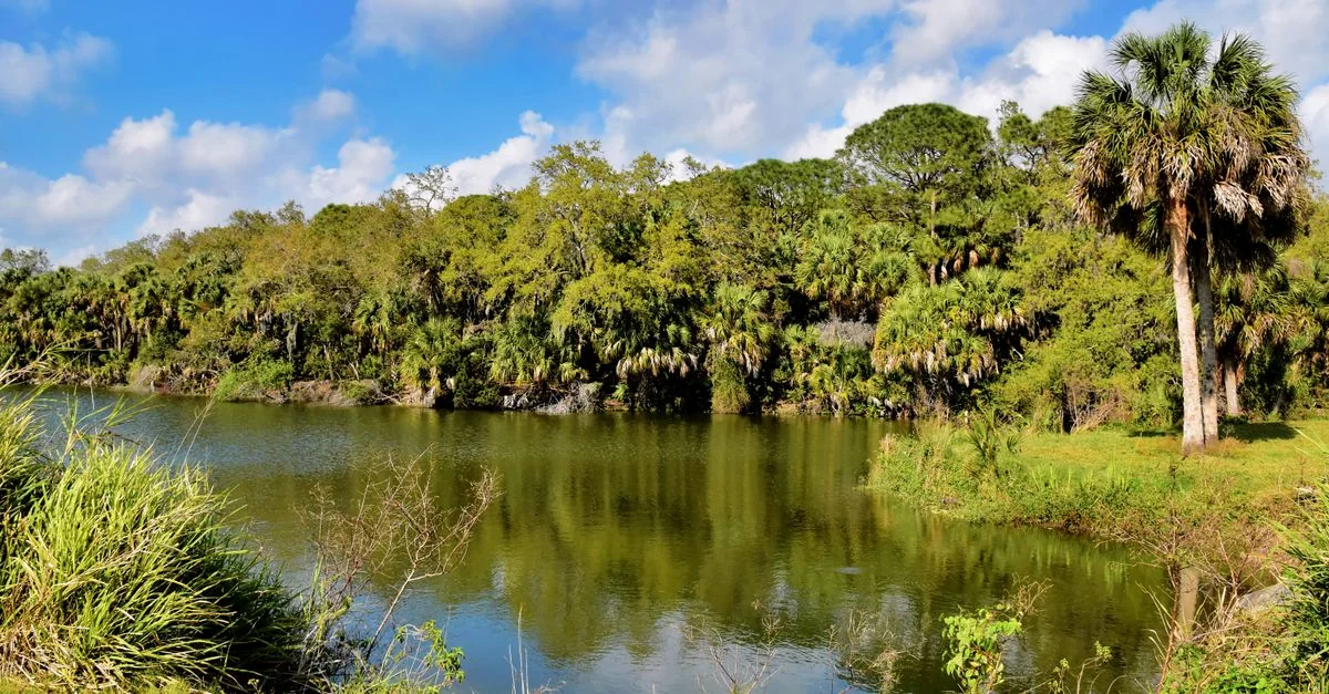Hillsborough County Adventure Guide: Mountain Biking with Prices and Tips