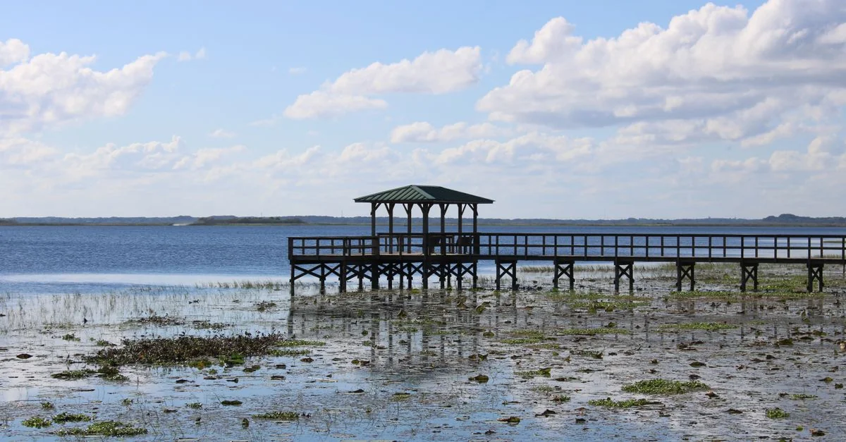 Hillsborough County Adventure Guide: Mountain Biking with Prices and Tips