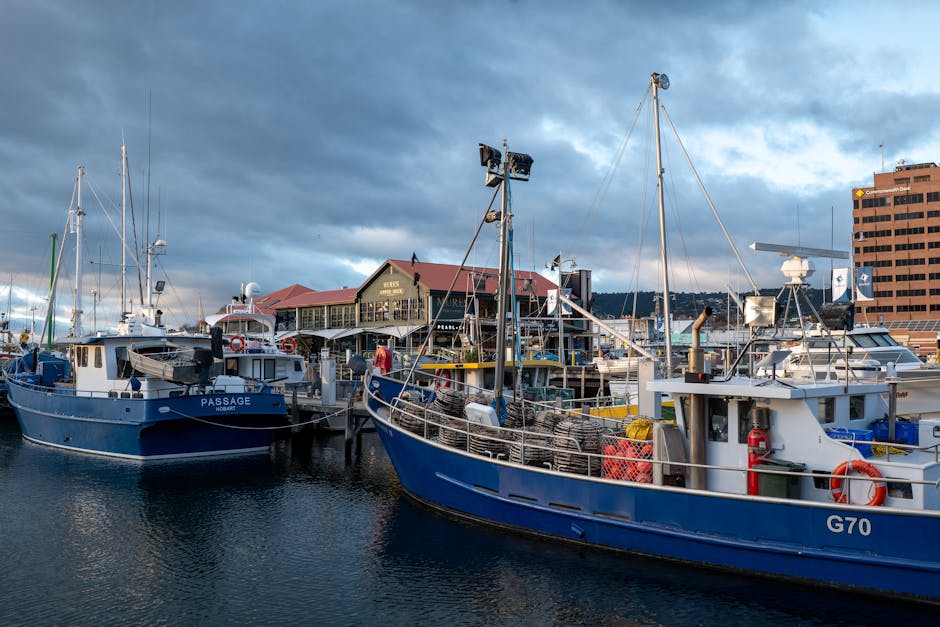 hobart-travel-guide