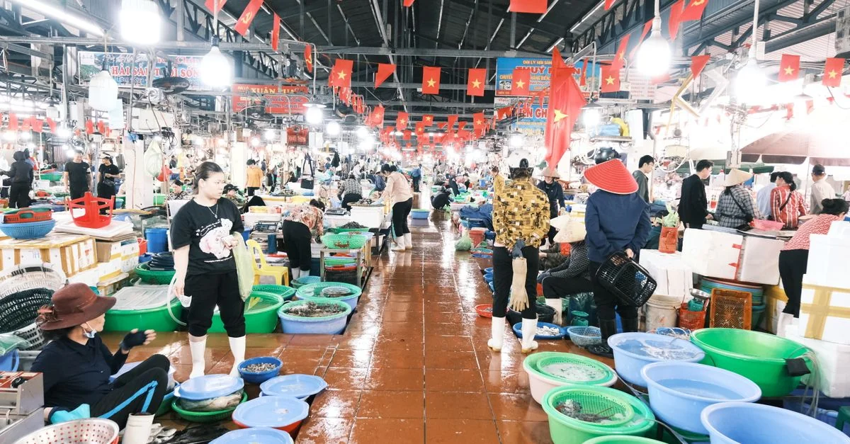 Navigating Central Vietnam: The Best Day Trips From Hoi An Architecture to Mountain Peaks