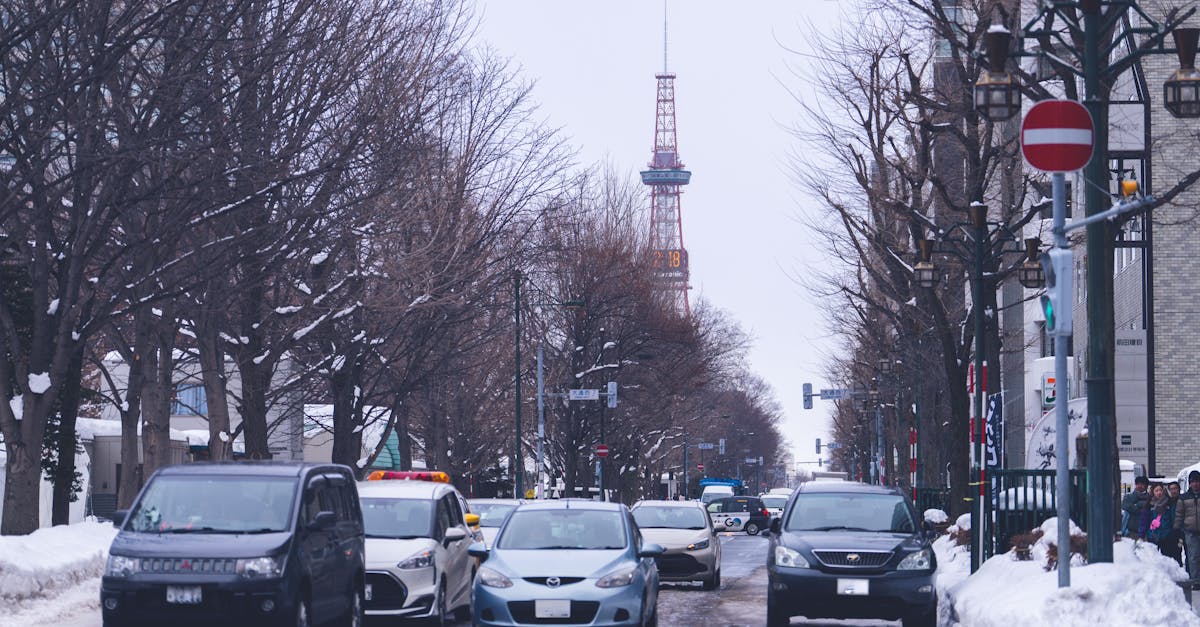 hokkaido-food-tours