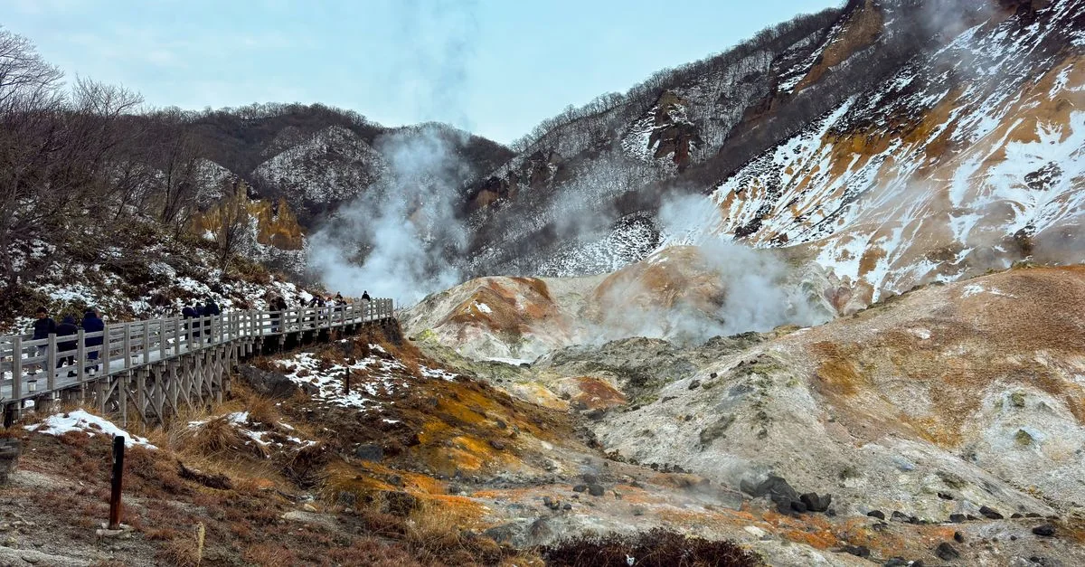Nature and Wildlife Tours in Hokkaido: Safari, Birdwatching and Eco Adventures