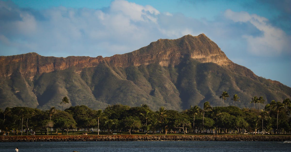 honolulu-county-adventure