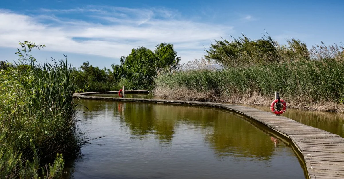 Huelva to Seville by Train: Prices, Schedules and Travel Tips