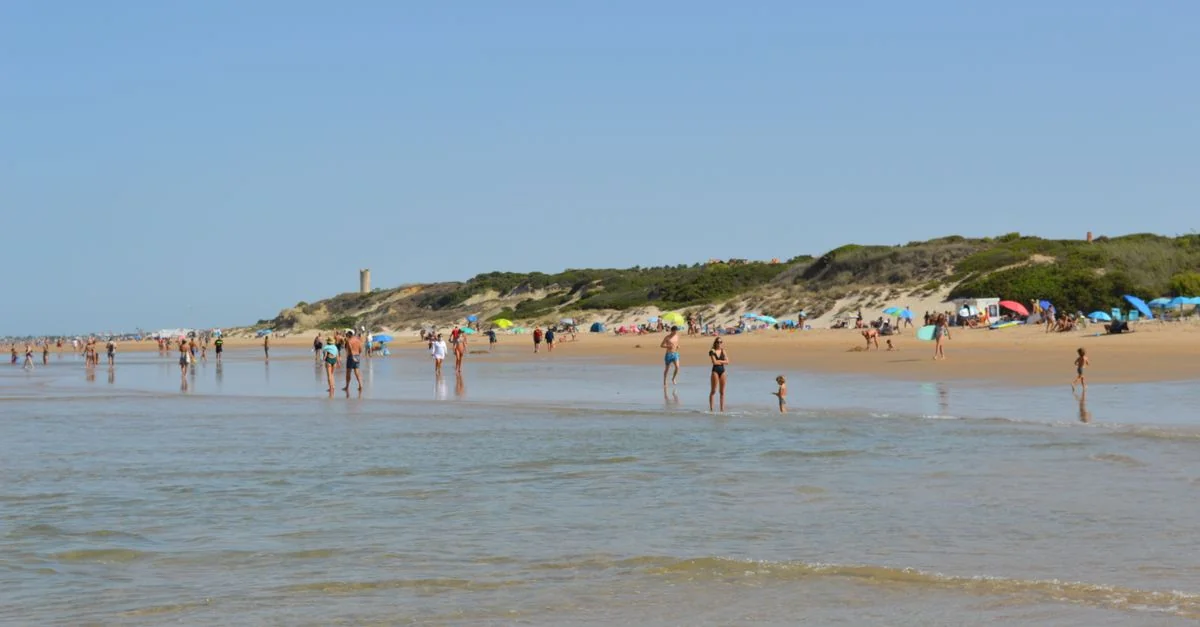Huelva to Seville by Train: Prices, Schedules and Travel Tips