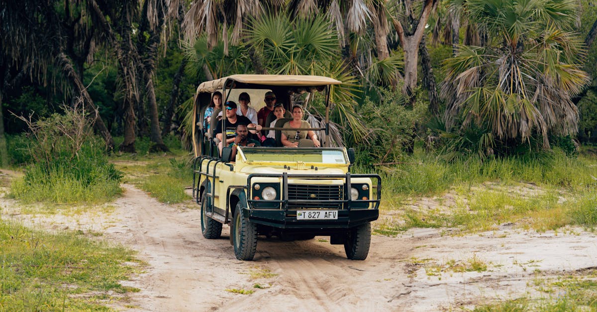 hwange-adventure