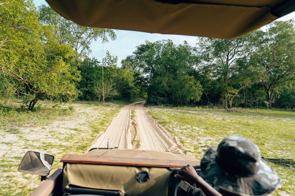hwange-adventure