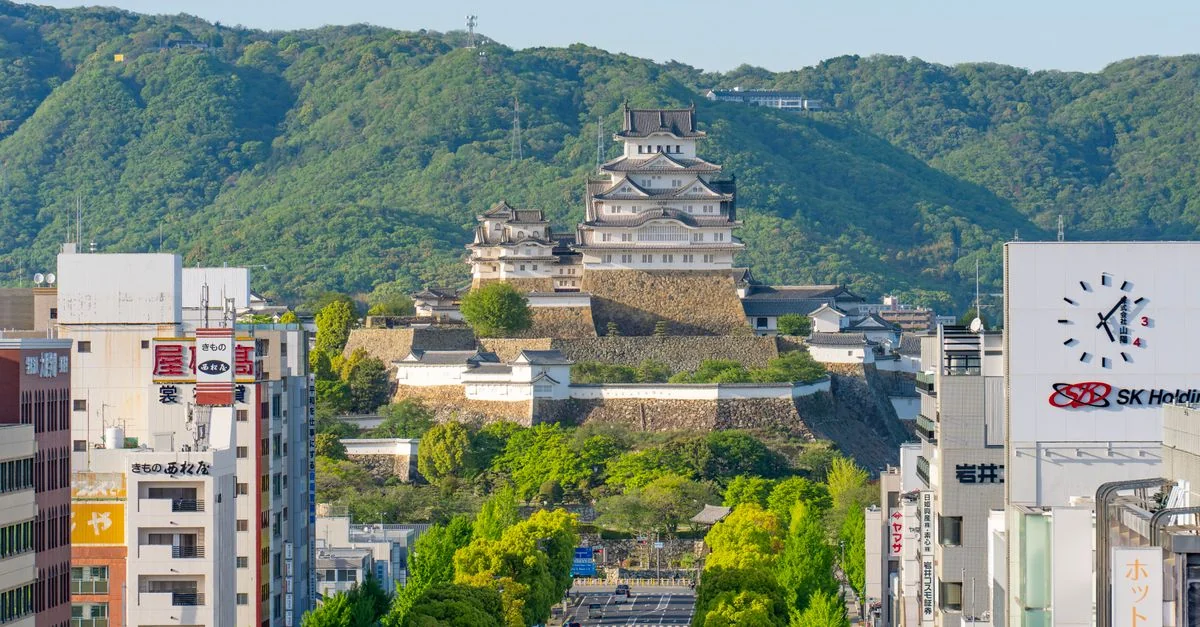 The Ultimate Food Lover&rsquo;s Guide to Hyogo: Street Food and Local Bites