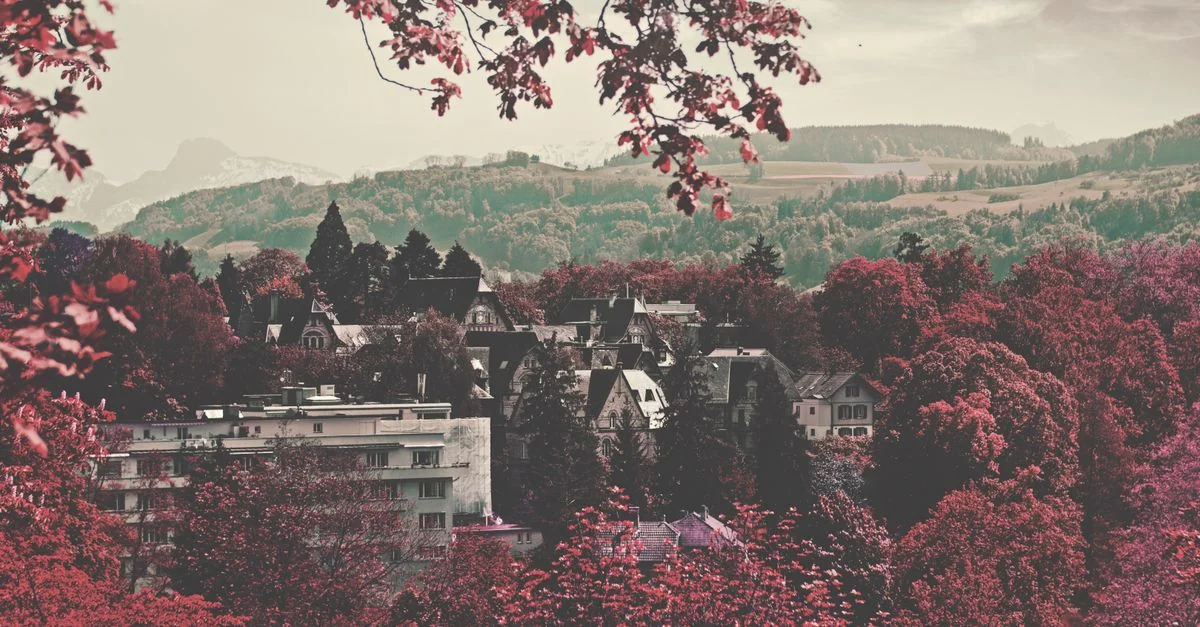 Nature and Wildlife Tours in Interlaken: Discover Switzerland